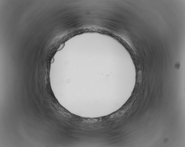 X0000116821111201001291616