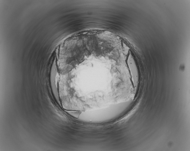 X0000116821113201001291616