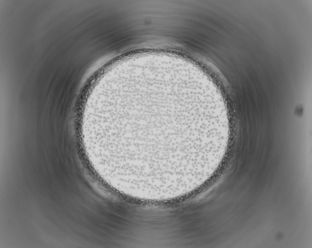 X0000116821114201001291616