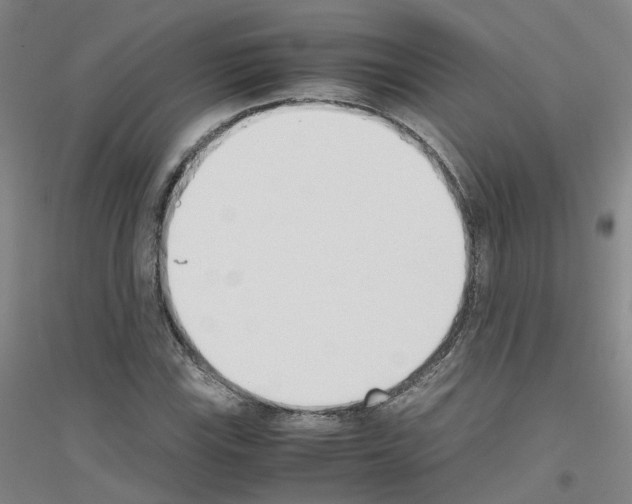 X0000116821115201001291616