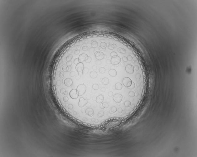 X0000116821117201001291616