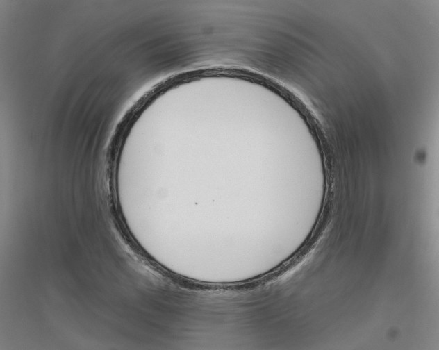 X0000116821118201001291616