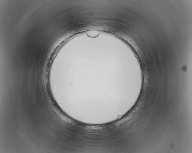 X0000116821119201001291616