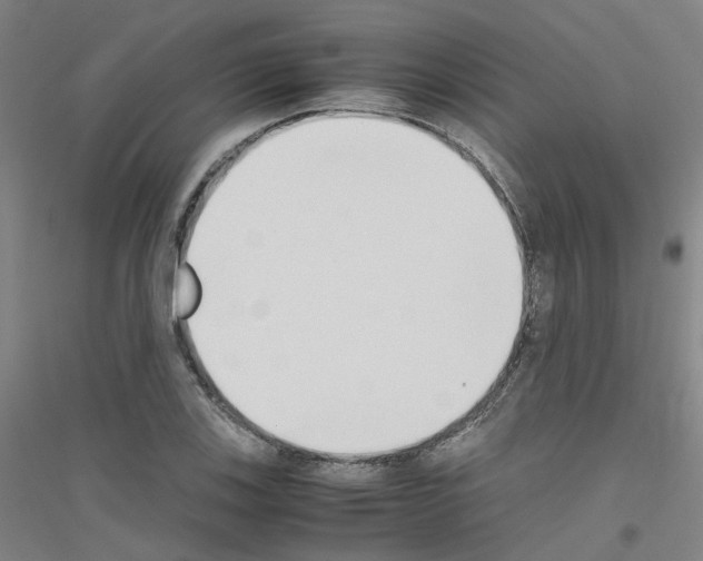 X0000116821123201001291616