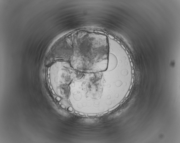 X0000116821125201001291616