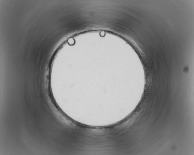 X0000116821126201001291616