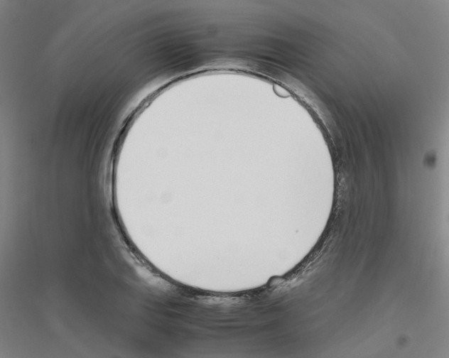 X0000116821127201001291616