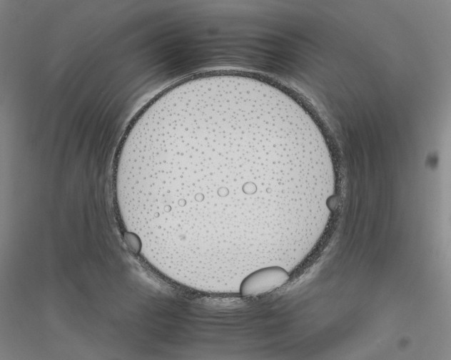 X0000116821129201001291616