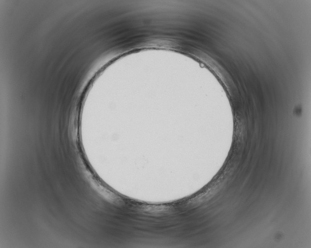 X0000116821131201001291616