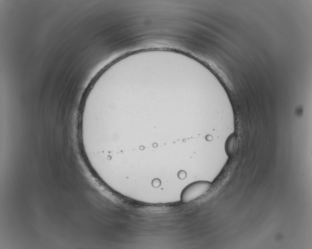 X0000116821134201001291616