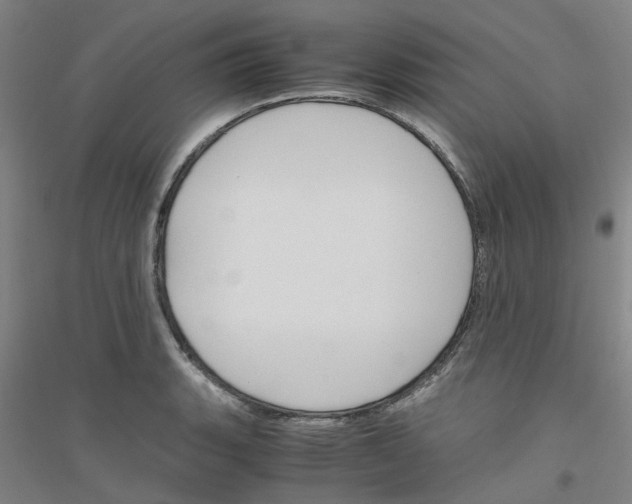 X0000116821135201001291616