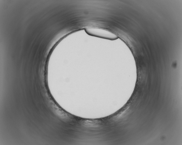 X0000116821138201001291617