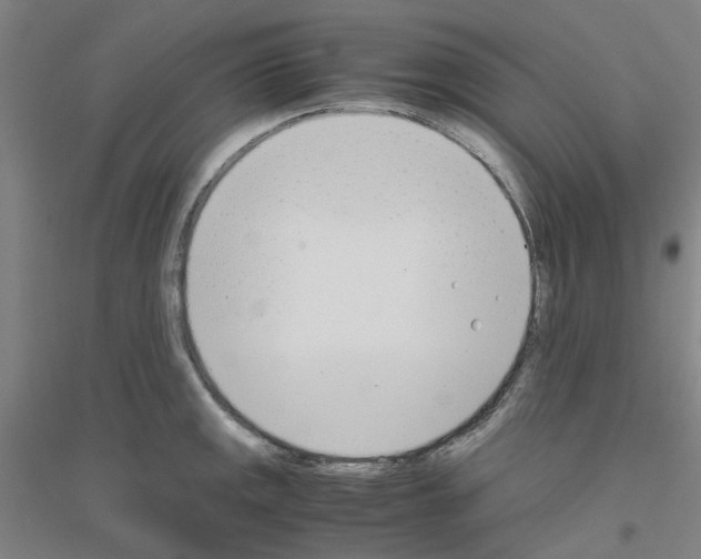 X0000116821141201001291617