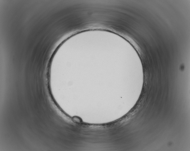 X0000116821142201001291617