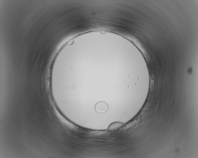 X0000116821143201001291617