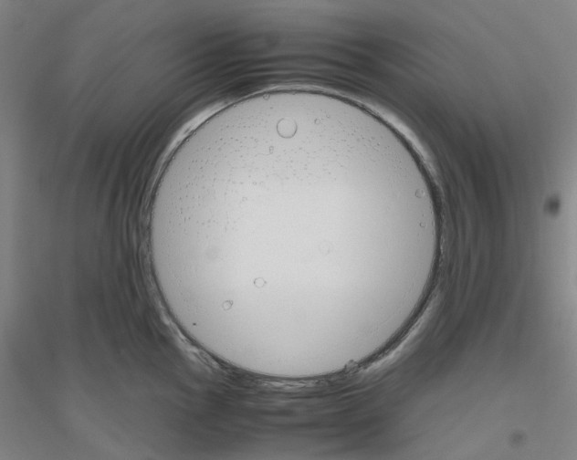 X0000116821145201001291617