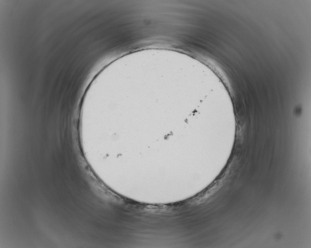 X0000116821146201001291617