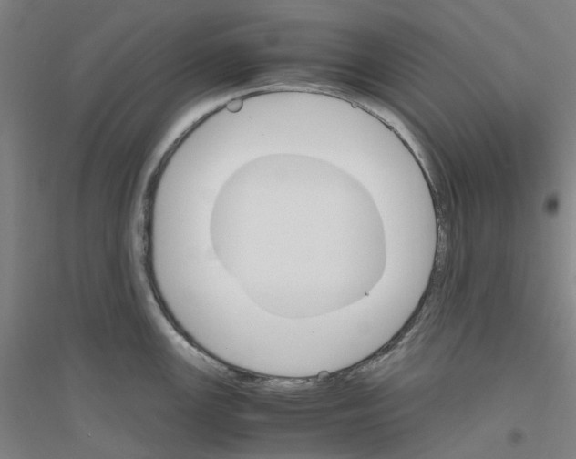 X0000116821147201001291617