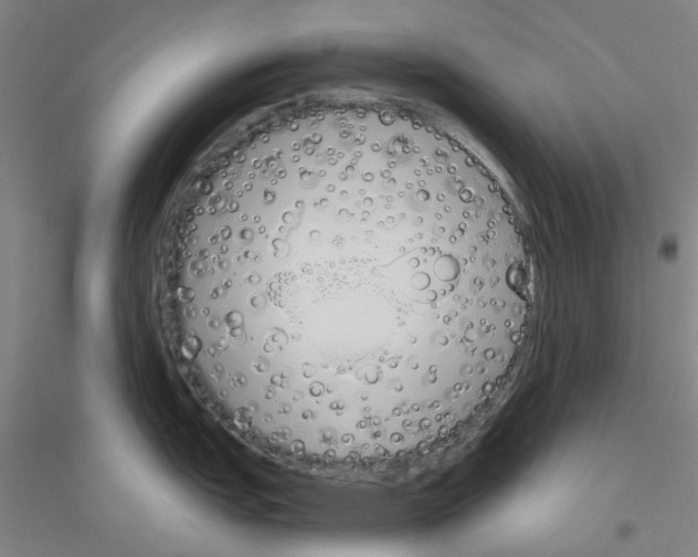 X0000116821151201001291617