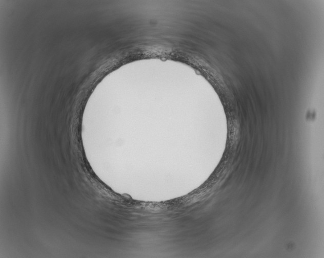 X0000116821153201001291616