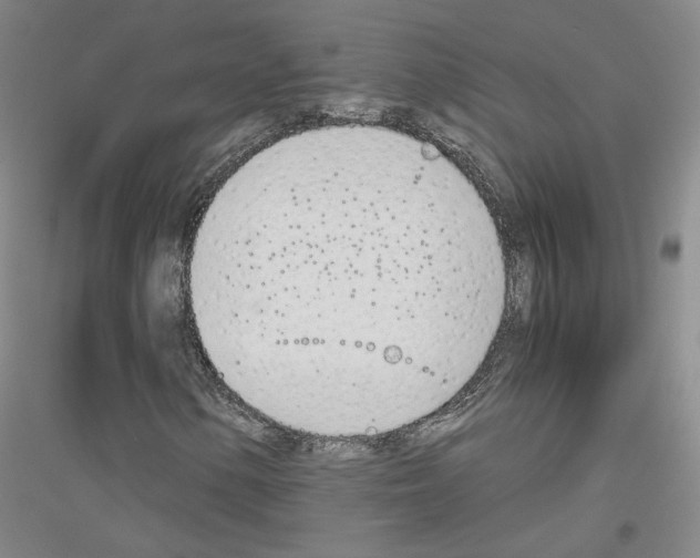 X0000116821154201001291616