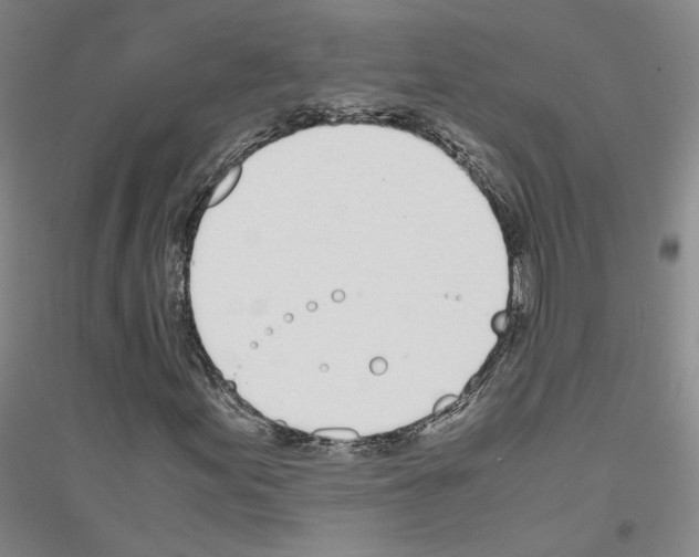 X0000116821155201001291616