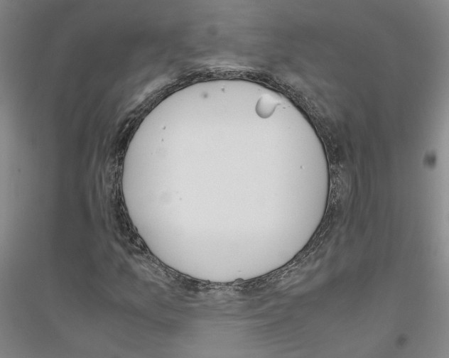 X0000116821157201001291616