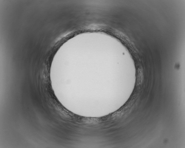 X0000116821158201001291616