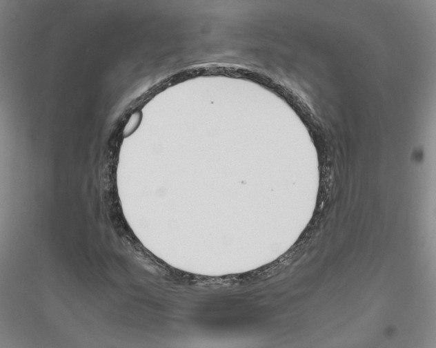 X0000116821159201001291616