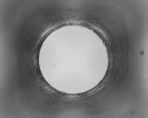 X0000116821160201001291616