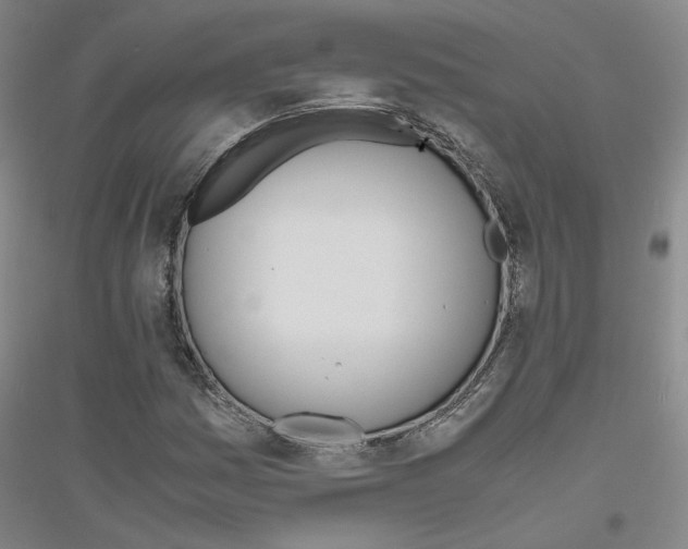 X0000116821161201001291616