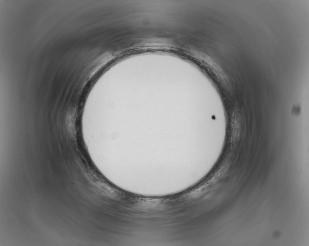 X0000116821162201001291616