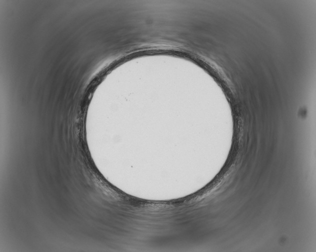 X0000116821163201001291616