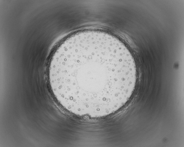 X0000116821164201001291616