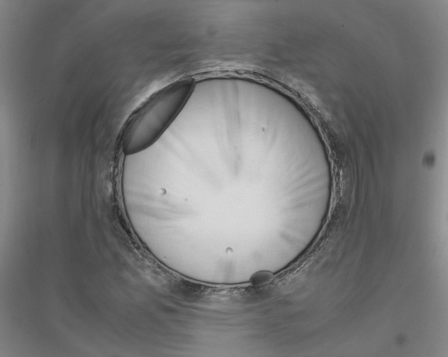 X0000116821165201001291616