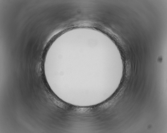 X0000116821166201001291616