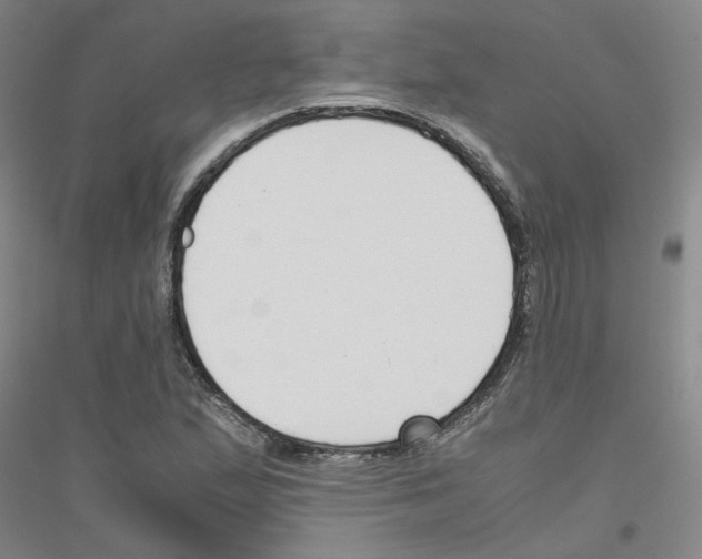 X0000116821167201001291616