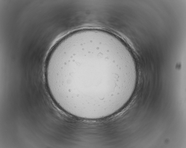 X0000116821168201001291616