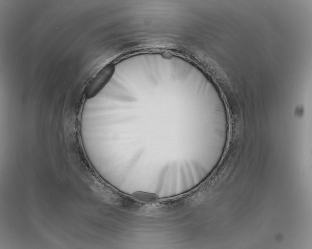 X0000116821169201001291616