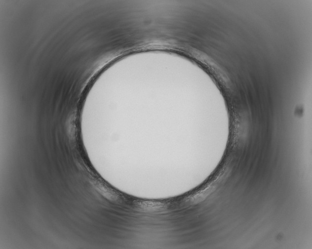 X0000116821170201001291616