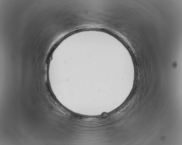 X0000116821171201001291616