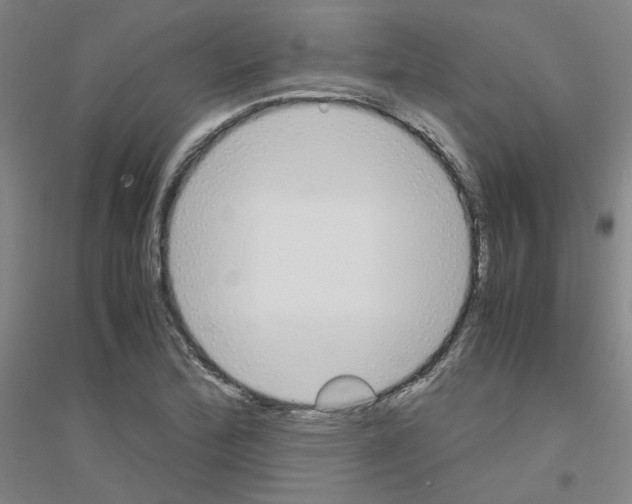 X0000116821172201001291616