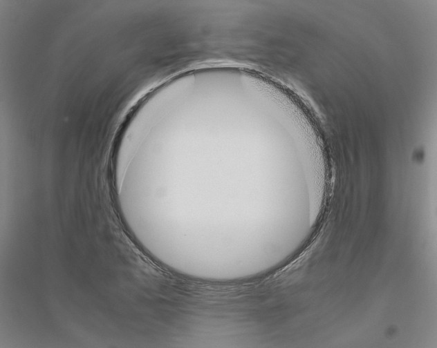 X0000116821173201001291616