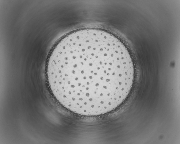 X0000116821174201001291616