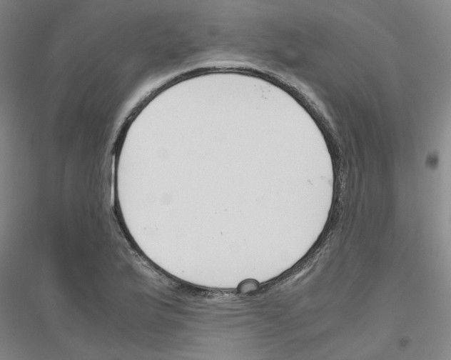 X0000116821175201001291616