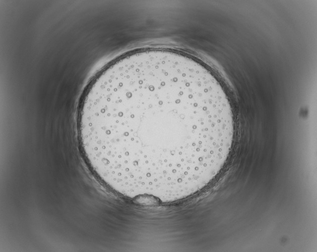 X0000116821176201001291616