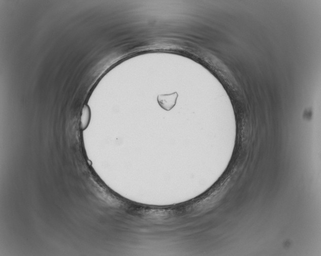 X0000116821177201001291616