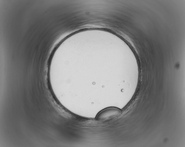 X0000116821179201001291616