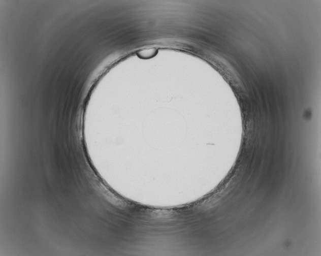 X0000116821180201001291616