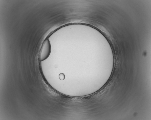 X0000116821181201001291616